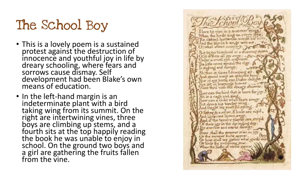 the school boy 1