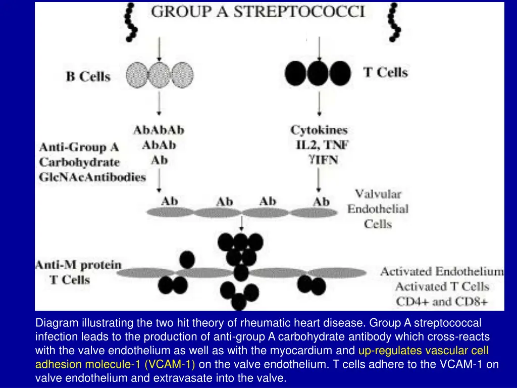 diagram illustrating the two hit theory