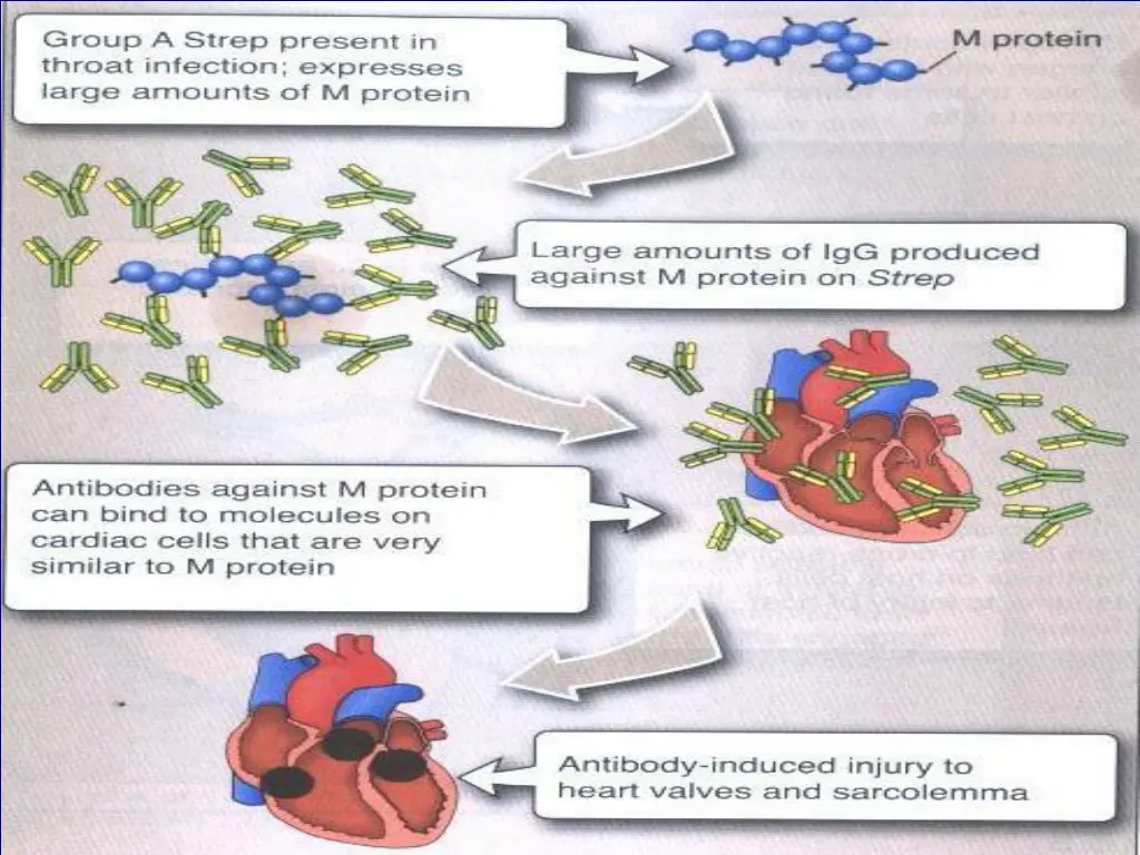 slide12