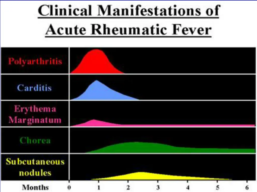slide24