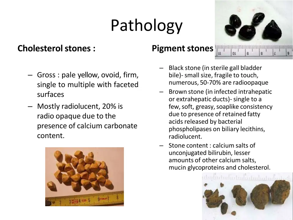 pathology
