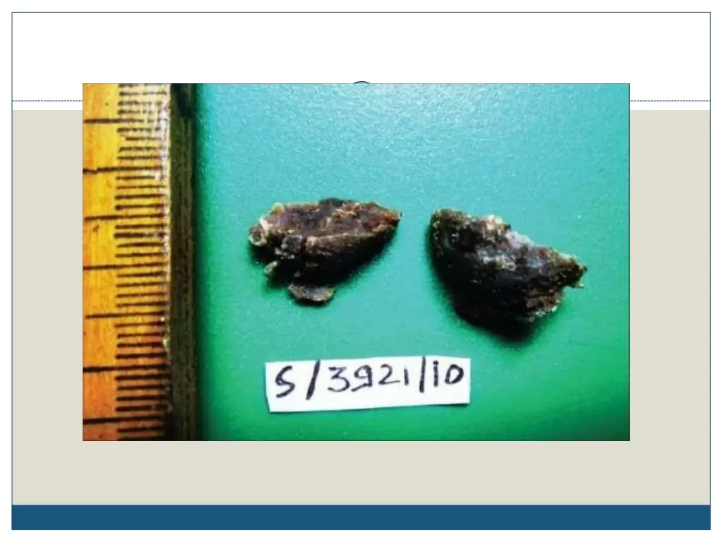 slide7