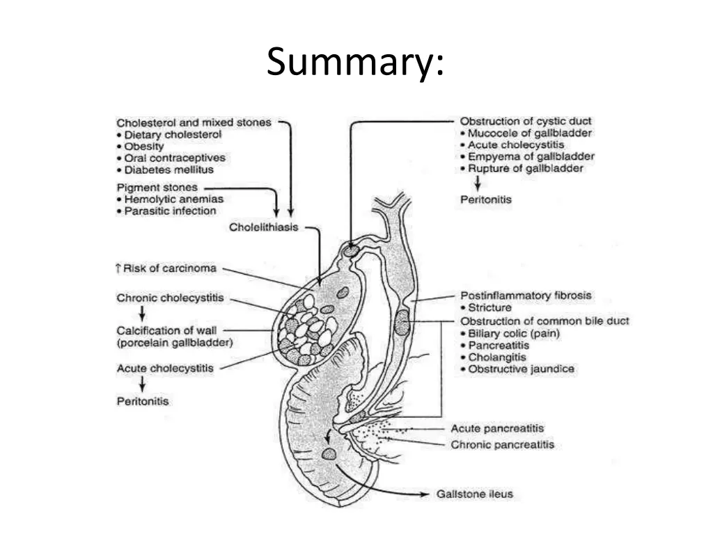summary 1