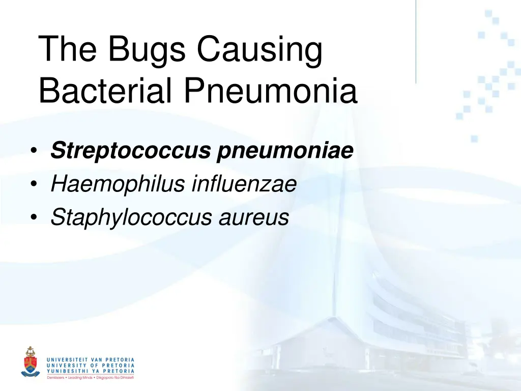 the bugs causing bacterial pneumonia