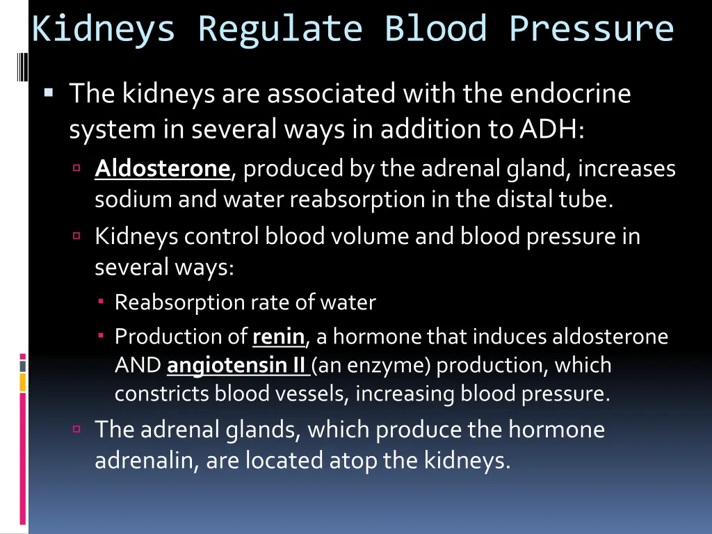 kidneys regulate blood pressure