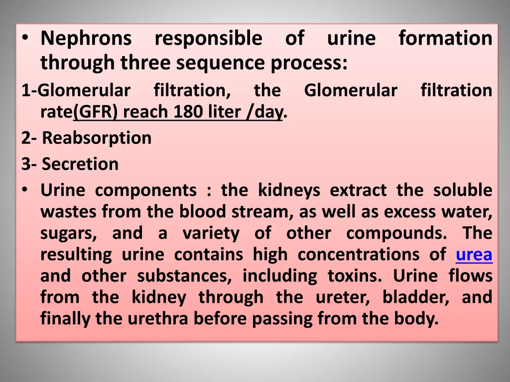 nephrons through three sequence process