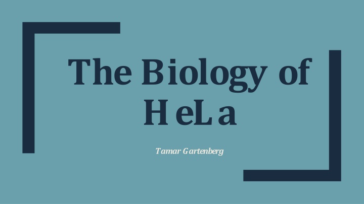 the biology of hela