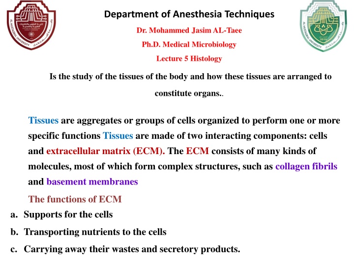 department of anesthesia techniques