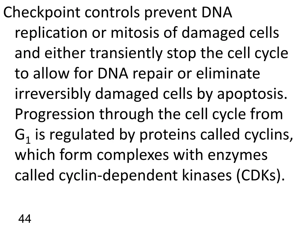 checkpoint controls prevent dna replication