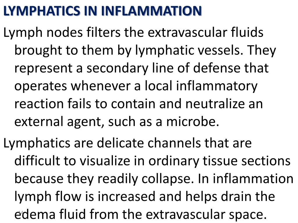 lymphatics in inflammation lymph nodes filters