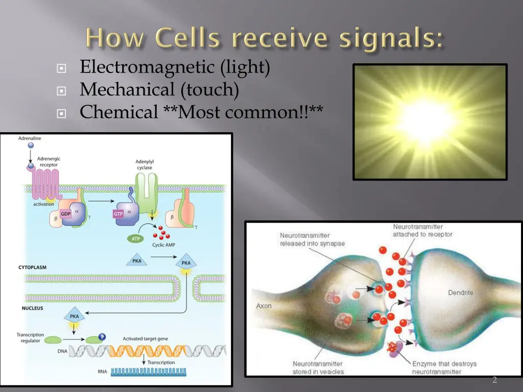 electromagnetic light mechanical touch chemical
