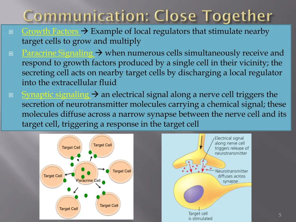 growth factors example of local regulators that