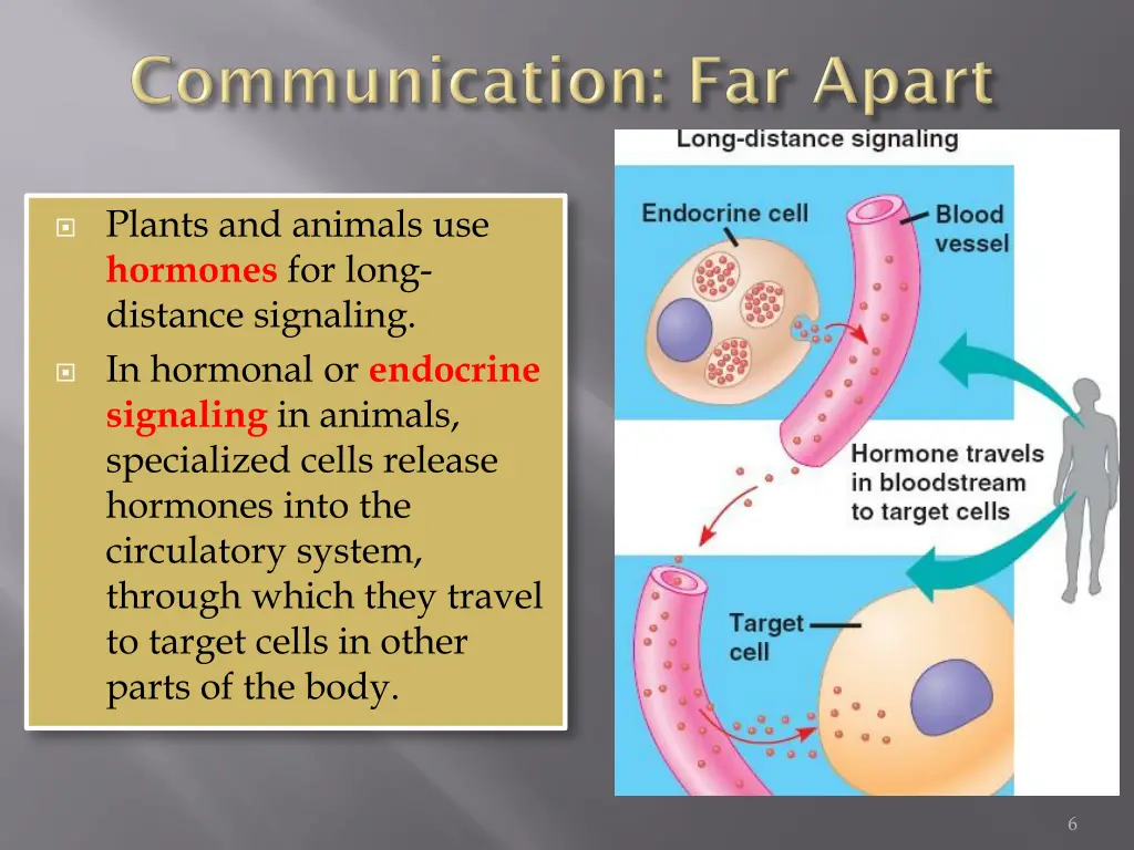 plants and animals use hormones for long distance