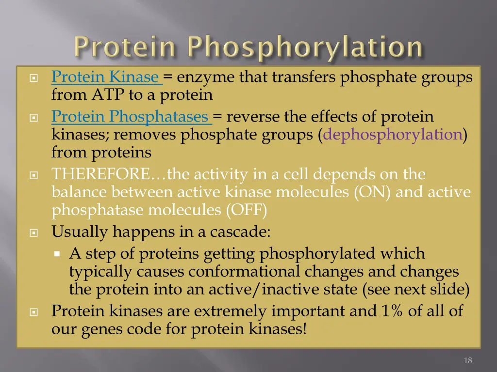protein kinase enzyme that transfers phosphate