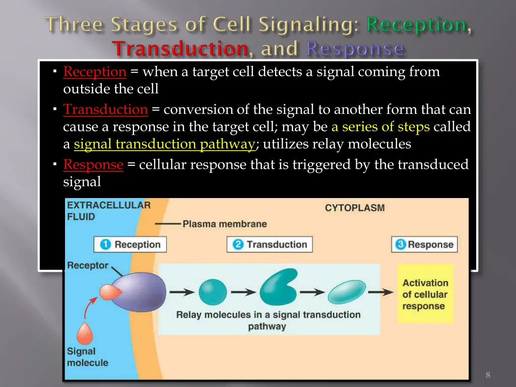 reception when a target cell detects a signal