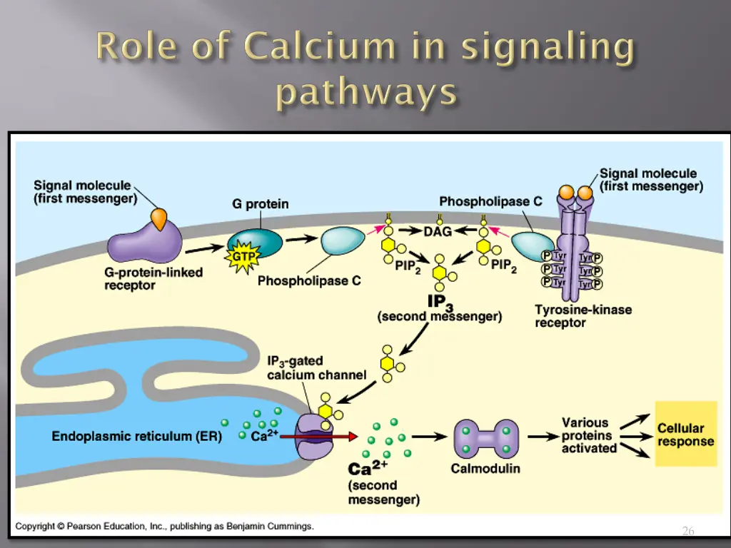 slide26
