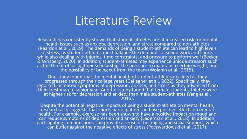literature review