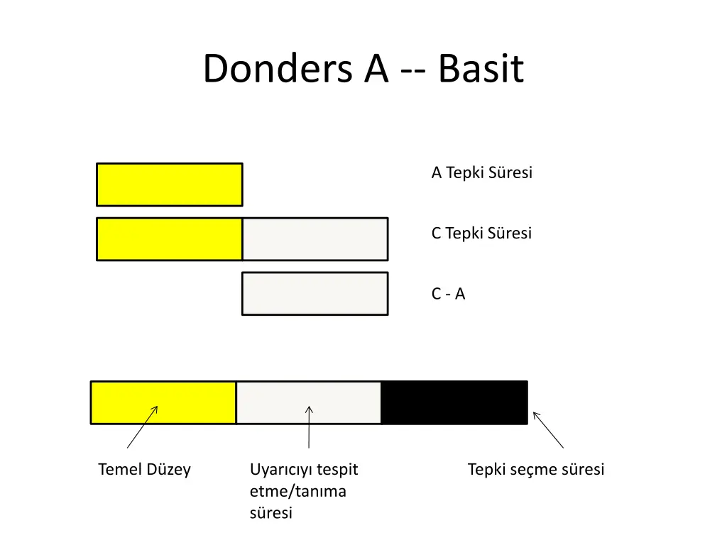 donders a basit
