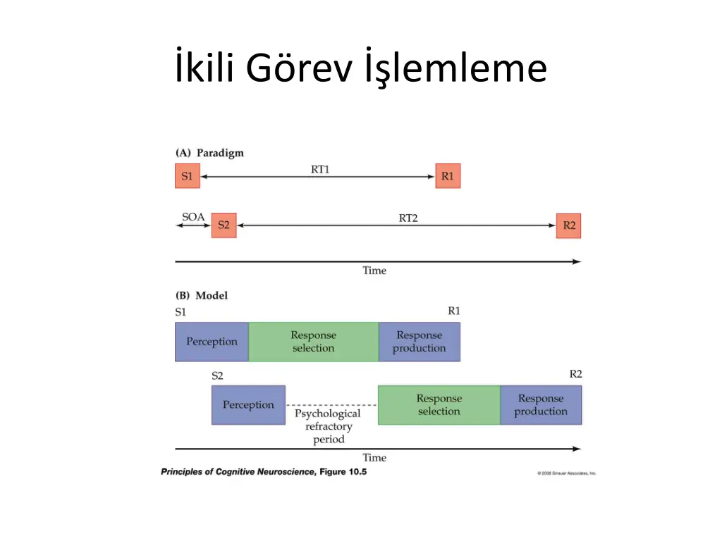 kili g rev lemleme 1