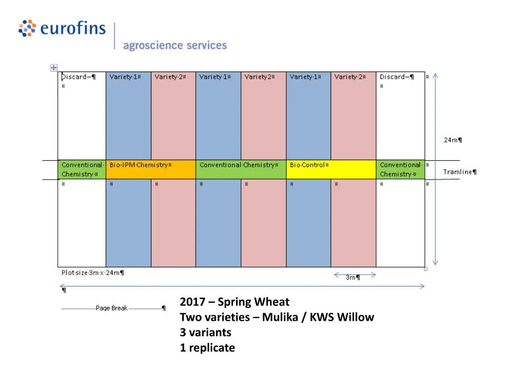 2017 spring wheat two varieties mulika kws willow