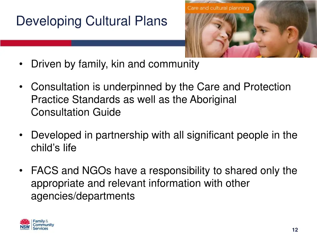 developing cultural plans