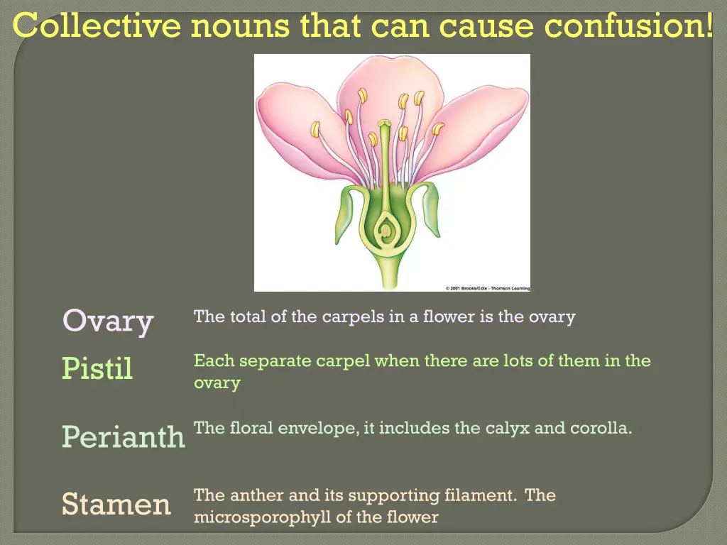 collective nouns that can cause confusion