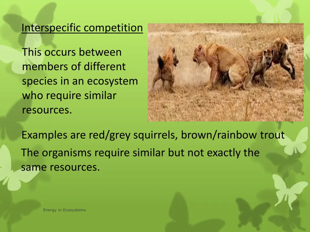interspecific competition