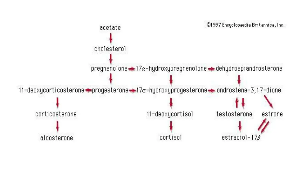 slide4