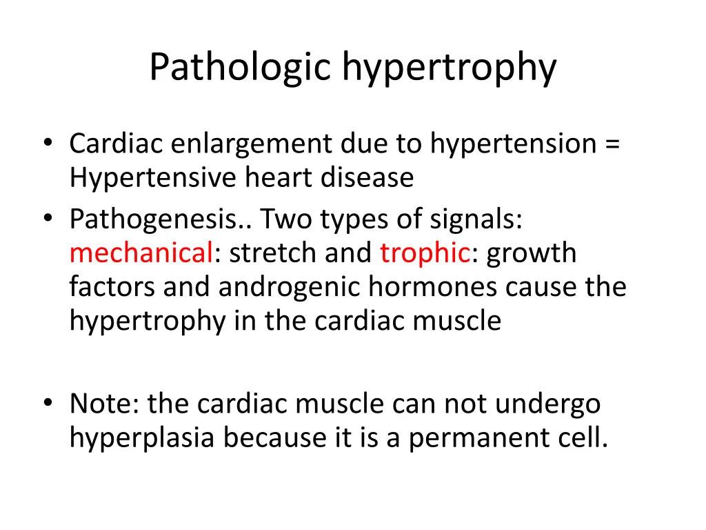 pathologic hypertrophy