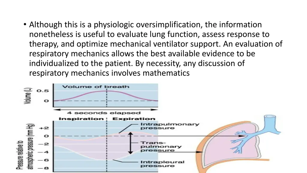 although this is a physiologic oversimplification