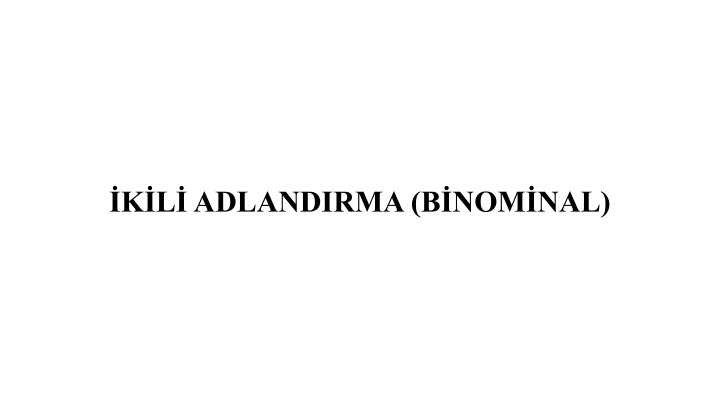 k l adlandirma b nom nal