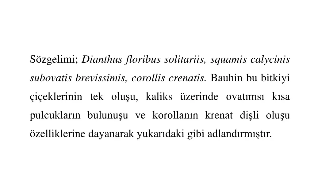 s zgelimi dianthus floribus solitariis squamis