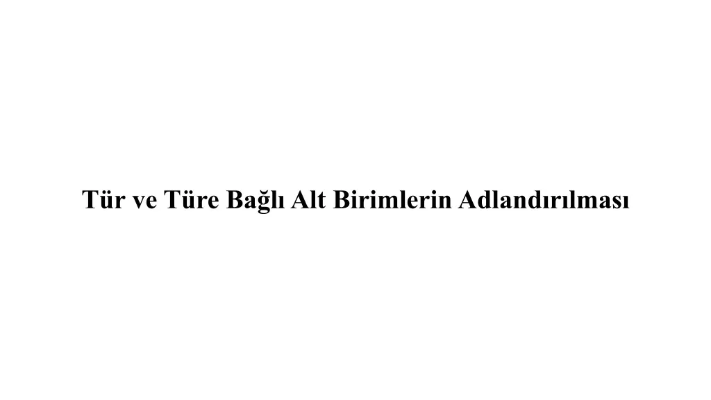 t r ve t re ba l alt birimlerin adland r lmas