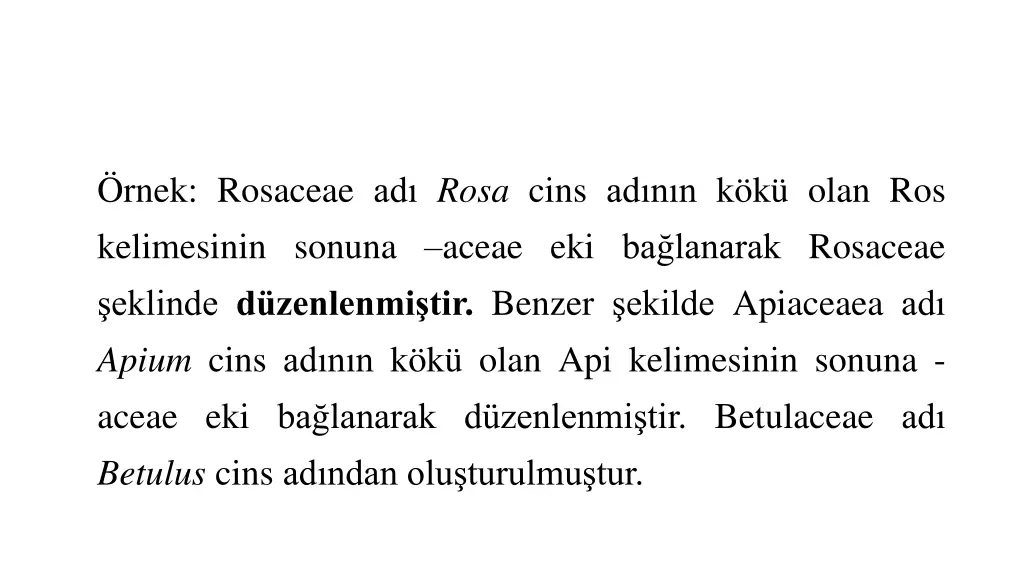 rnek rosaceae ad rosa cins ad n n k k olan