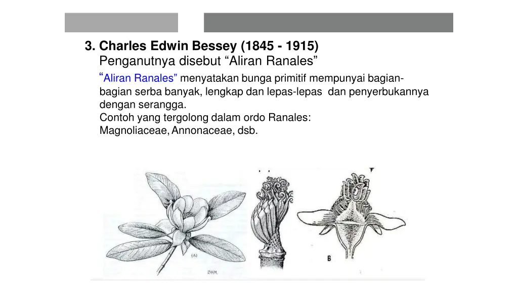 3 charles edwin bessey 1845 1915 penganutnya