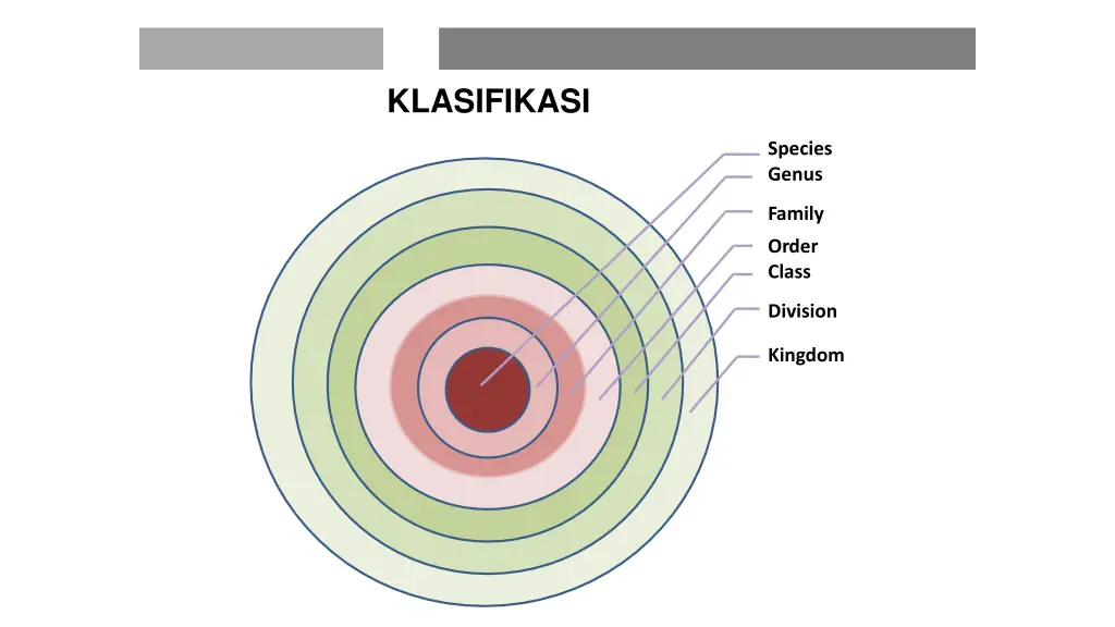 klasifikasi 1