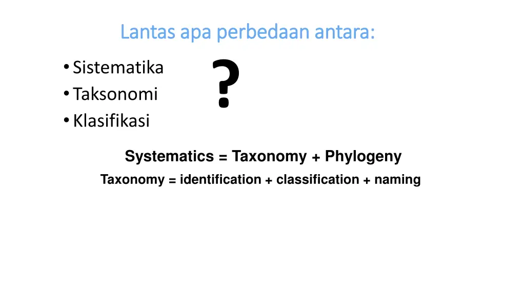 lantas apa perbedaan antara lantas apa perbedaan