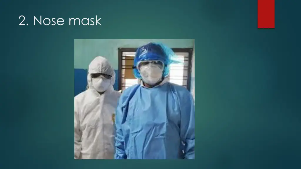 2 nose mask