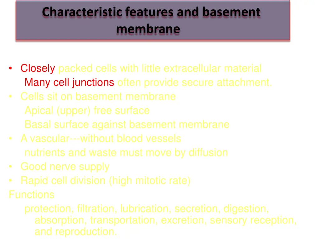 characteristic features and basement membrane