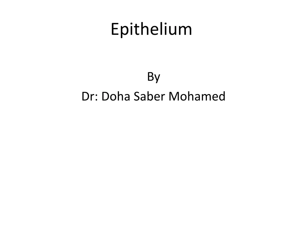 epithelium