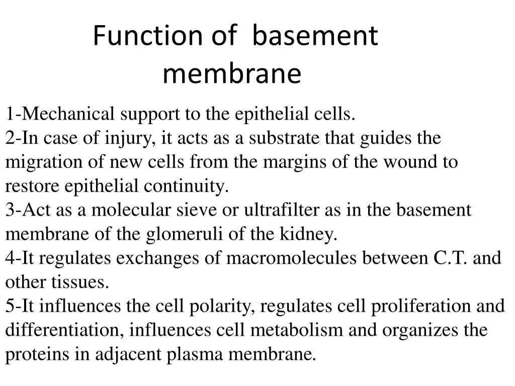 function of basement membrane