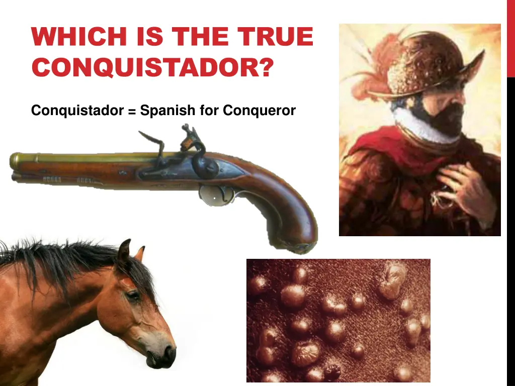 which is the true conquistador
