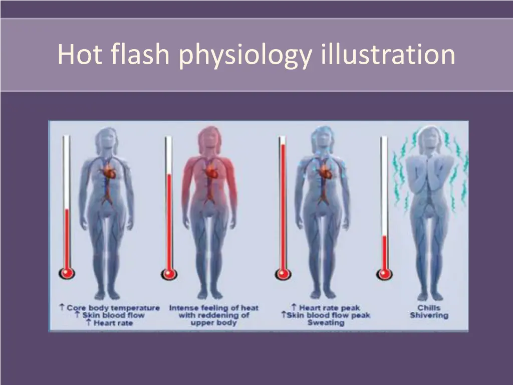 hot flash physiology illustration