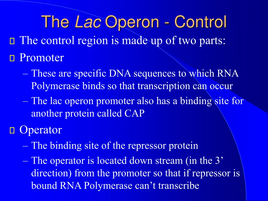 the lac operon control the control region is made