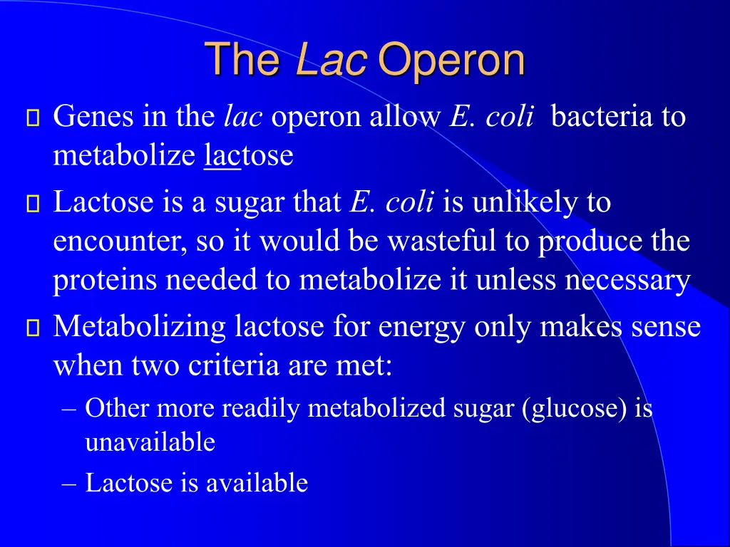 the lac operon genes in the lac operon allow