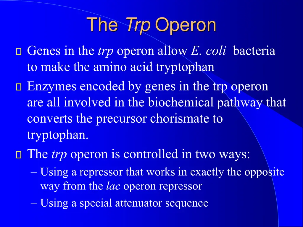 the trp operon