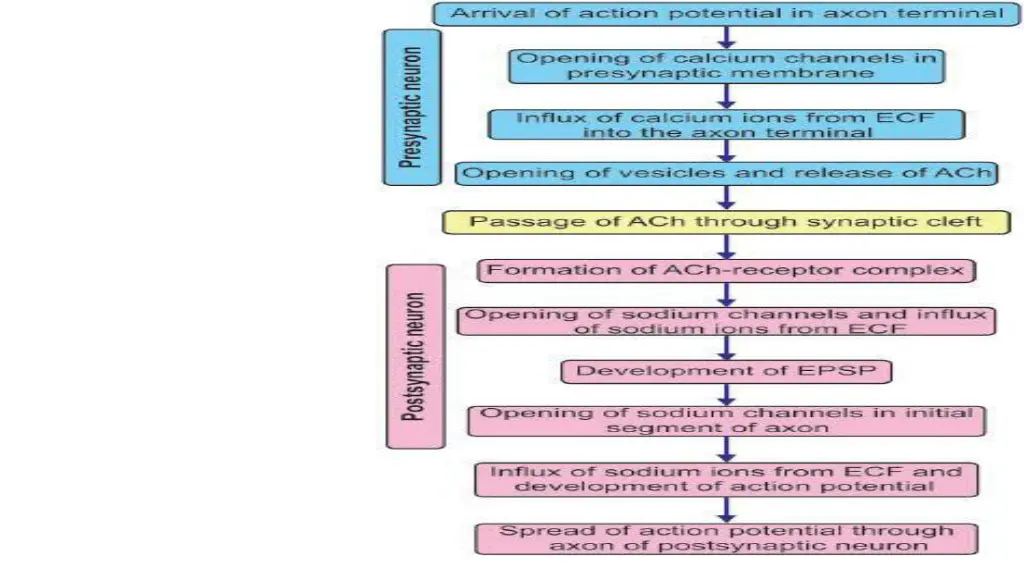 slide9
