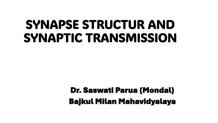 synapse structur and synapse structur