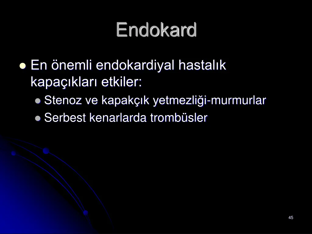 endokard