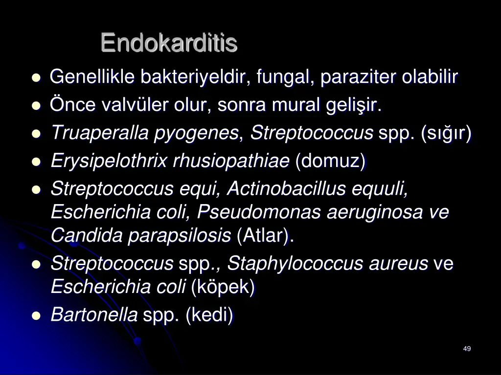 endokarditis
